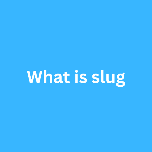 What is slug?